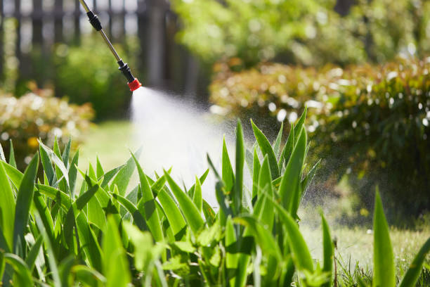 24/7 Emergency Mosquito Control experts in Harmony, RI