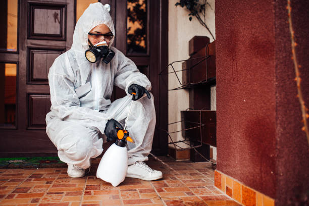 Reliable Mosquito Control contractor in Harmony, RI by Nex Pest Control