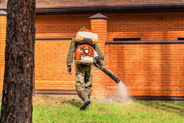 Top rated local Mosquito Control specialists in Harmony, RI